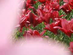 -长春公园(普阳街道)