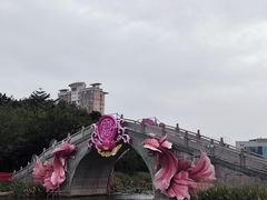 -映月湖公园