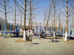 -永定河休闲森林公园