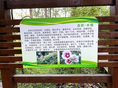 -合肥滨湖国家森林公园