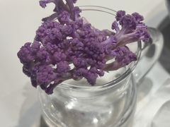 -花菇朵 ll 野生菌锅·精品滇菜(后沙峪店)