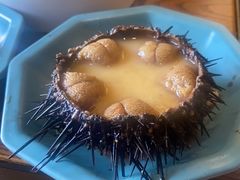 -海味当家·蒸锅海鲜(星海公园店)