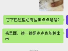 -lincat·猫舍(广州店)