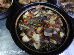 -全乐鱼馆·淳牌有机鱼直营店