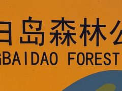 -长白岛森林公园