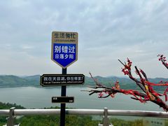 -天目湖山水园