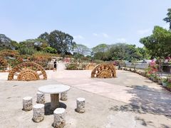 -松山湖梦幻百花洲