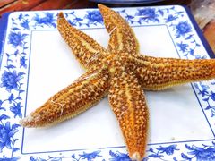 海星-0532啤酒屋