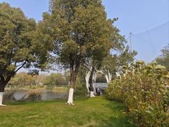 -九里河湿地公园