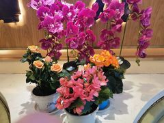 -东方豪客牛排意面披萨(玉函银座店)
