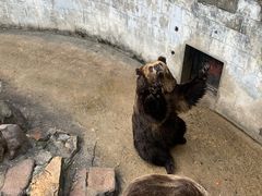 -赭山公园