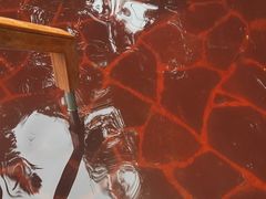 -西安国际创新人才交流中心•药浴温泉