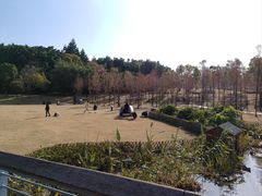 -牛岗山公园