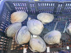-日照大牌檔•小船海鲜(万平口店)