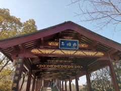 -长广溪湿地公园
