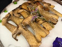 -芸山季·云南野生菌火锅(人民广场来福士店)