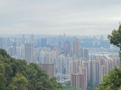 -南山植物园