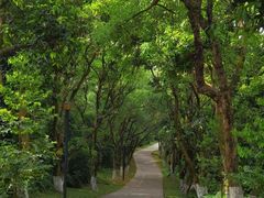 -燕晗山郊野公园