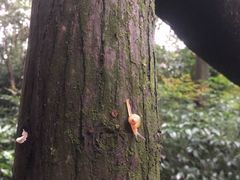 -青城道汤池