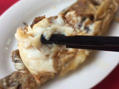 -蛇口康乐快餐鱼仔档(翠苑小区店)
