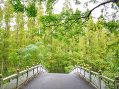 -东平国家森林公园