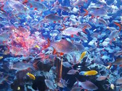 -成都浩海立方海洋公园