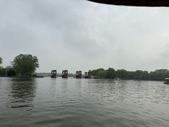 -石家庄市植物园