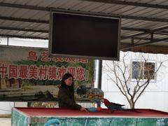 -竹泉村旅游度假区