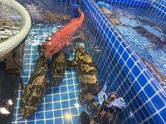 -渔港甄宴·海鲜·地标烟台菜(金沙滩店)