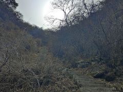-秦岭终南山世界地质公园翠华山景区