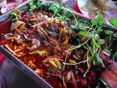 -重庆火锅水库鱼庄(南油店)