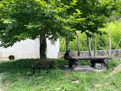 -卧龙中华大熊猫苑神树坪基地