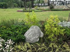 -府河摄影公园