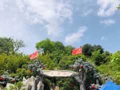 -王顺山国家森林公园