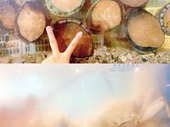 澳洲青边鲍-福升海鲜洒楼