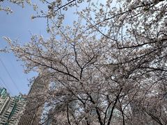 -西北湖绿化广场