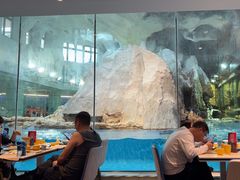 -帝企鹅自助餐厅•儿童岛•真企鹅(长隆企鹅酒店)