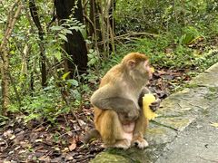 -黔灵山公园-南门售票处