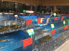 水产区-杭州六谷生态休闲农庄有限公司