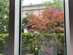-馨月汇·一悦馨香月子中心(前滩店)