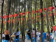 -金水泊山庄·花椒鸡(铁山坪店)