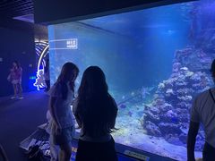 -江和美海洋公园