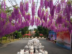 -牛鱼嘴原始生态风景区
