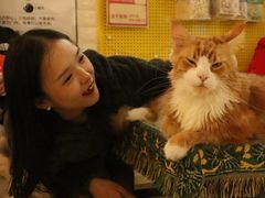 -平行世界·猫咖(首经贸店)