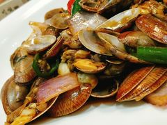 -顺德了能馆(虎门店)