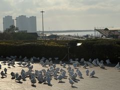 -山海广场