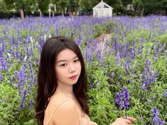 -玫瑰小镇
