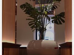 -森Some Fusion(荔湾店)