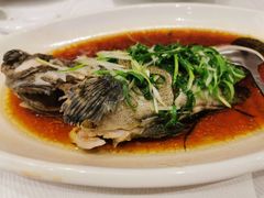 -金翠皇宫粤菜·点心·海鲜(科技园店)