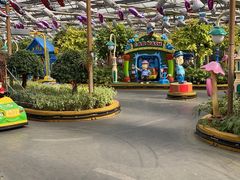 -南宫五洲植物乐园